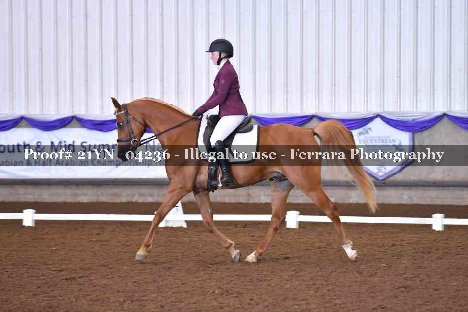 Proof 21YN_04236