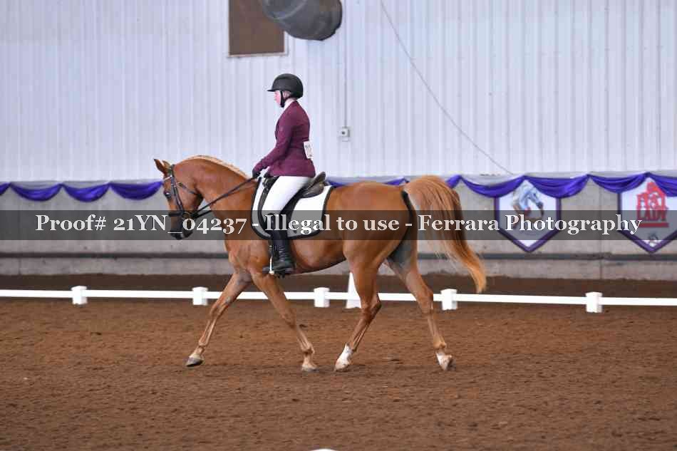 Proof 21YN_04237
