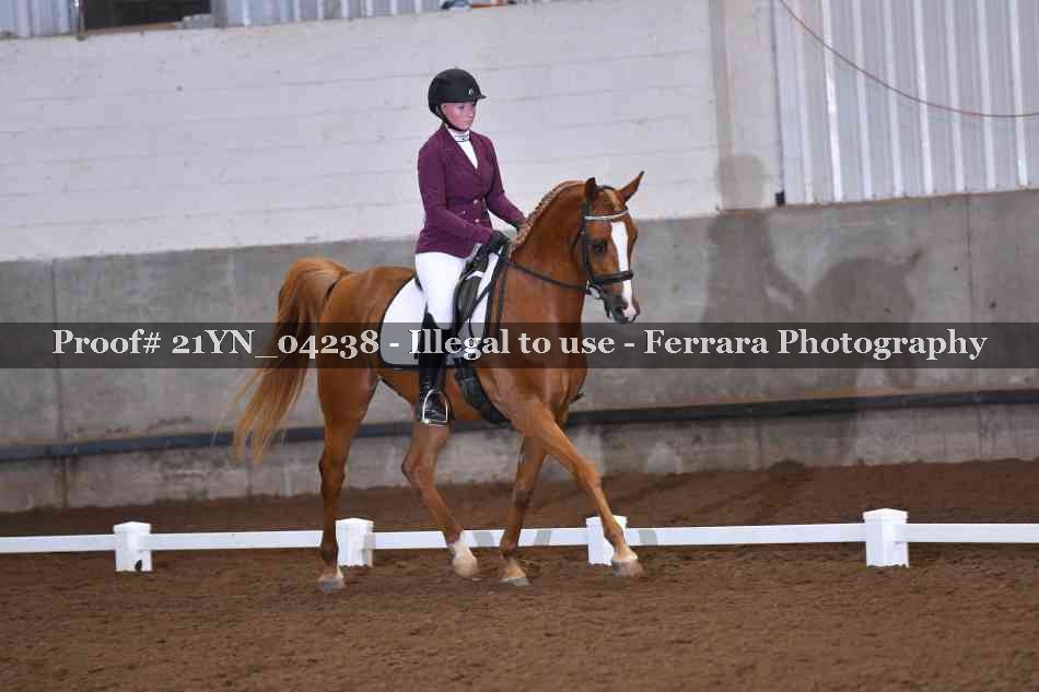 Proof 21YN_04238