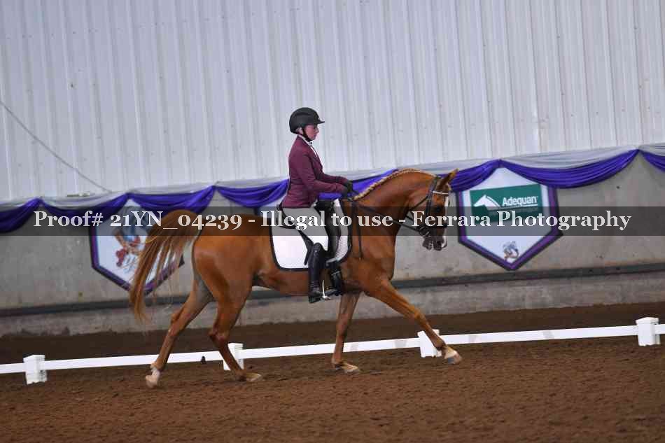 Proof 21YN_04239