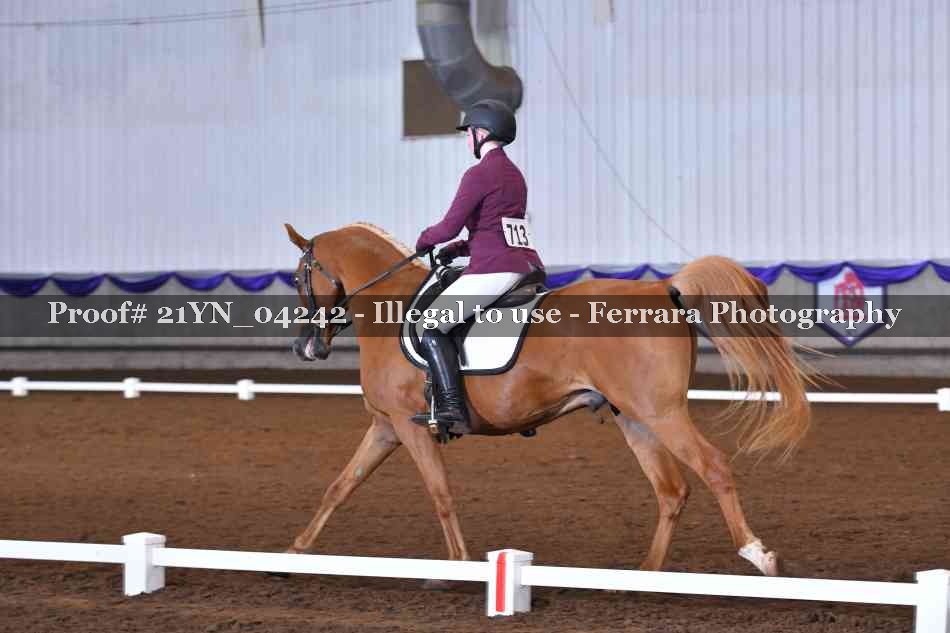 Proof 21YN_04242