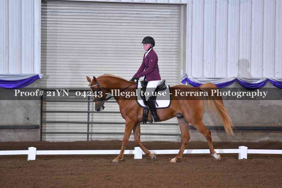 Proof 21YN_04243