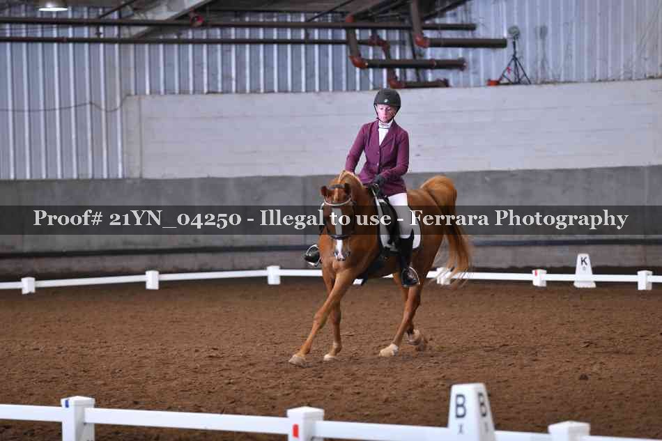 Proof 21YN_04250
