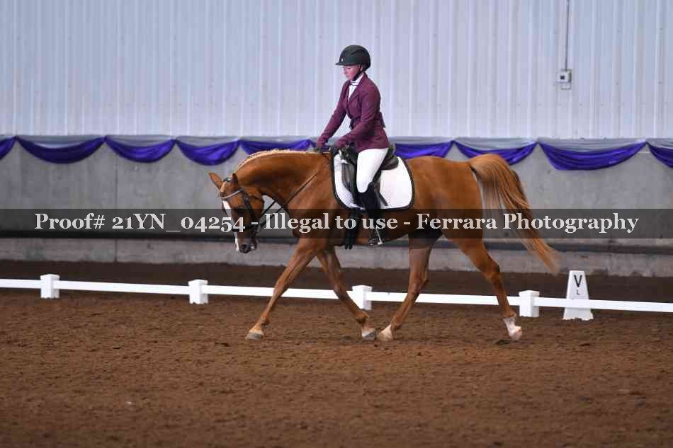 Proof 21YN_04254