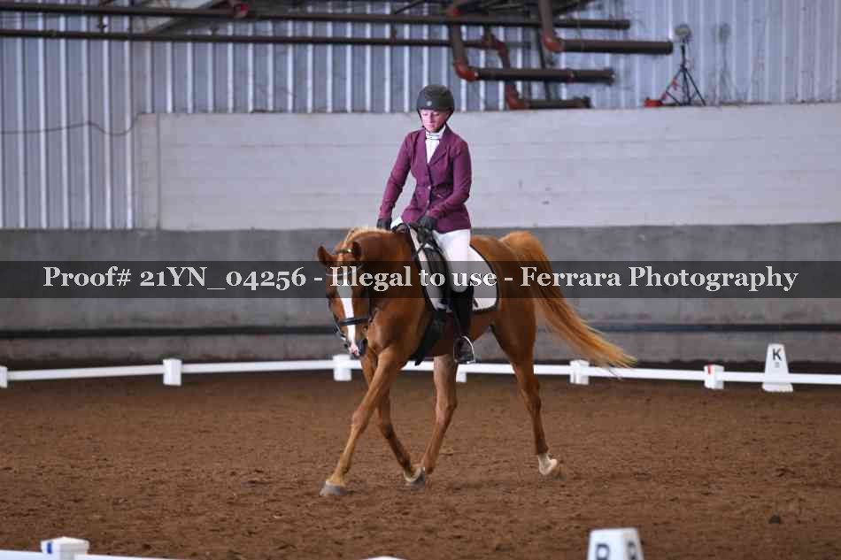Proof 21YN_04256
