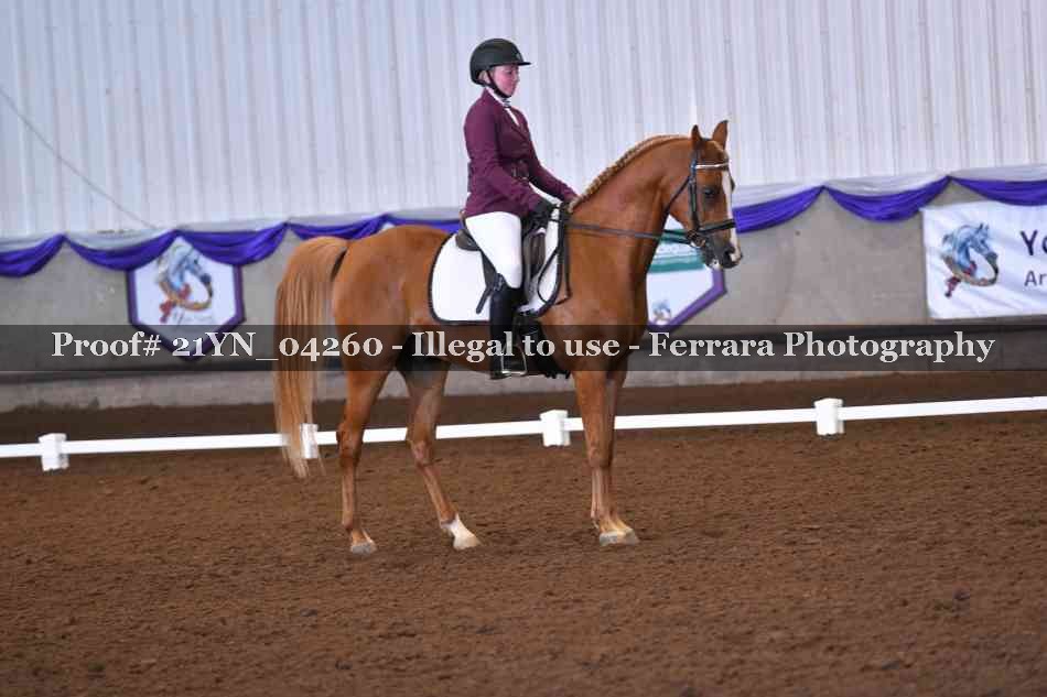 Proof 21YN_04260