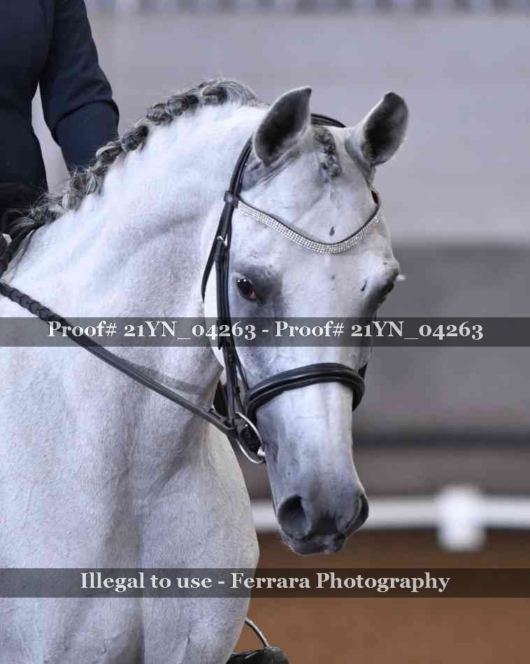 Proof 21YN_04263