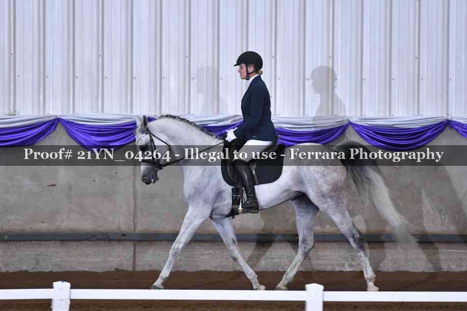 Proof 21YN_04264
