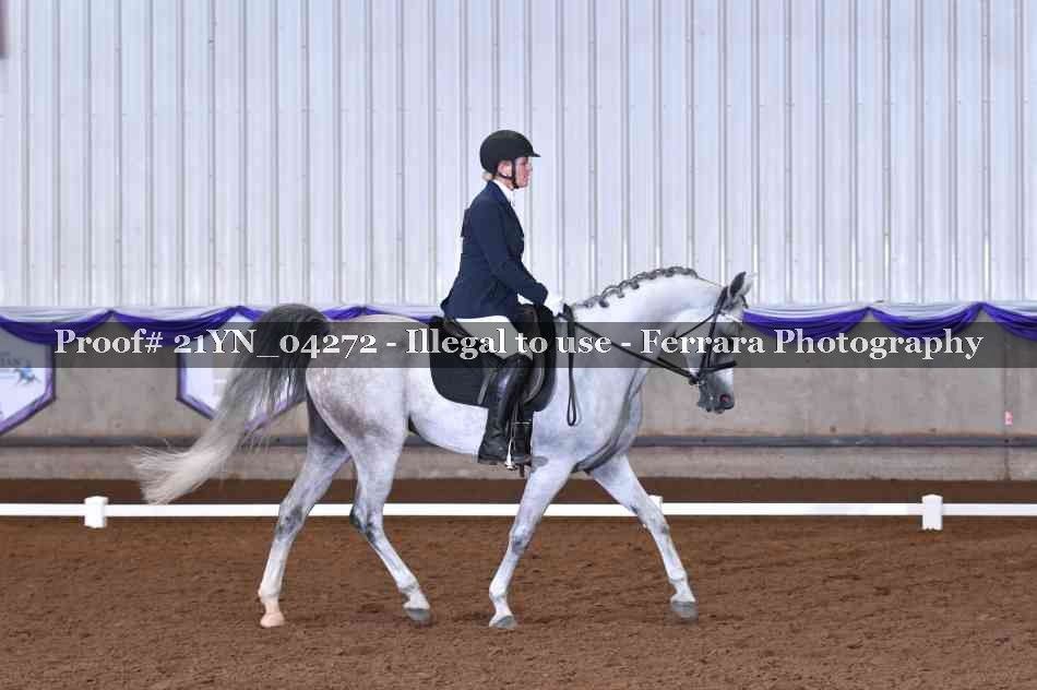 Proof 21YN_04272