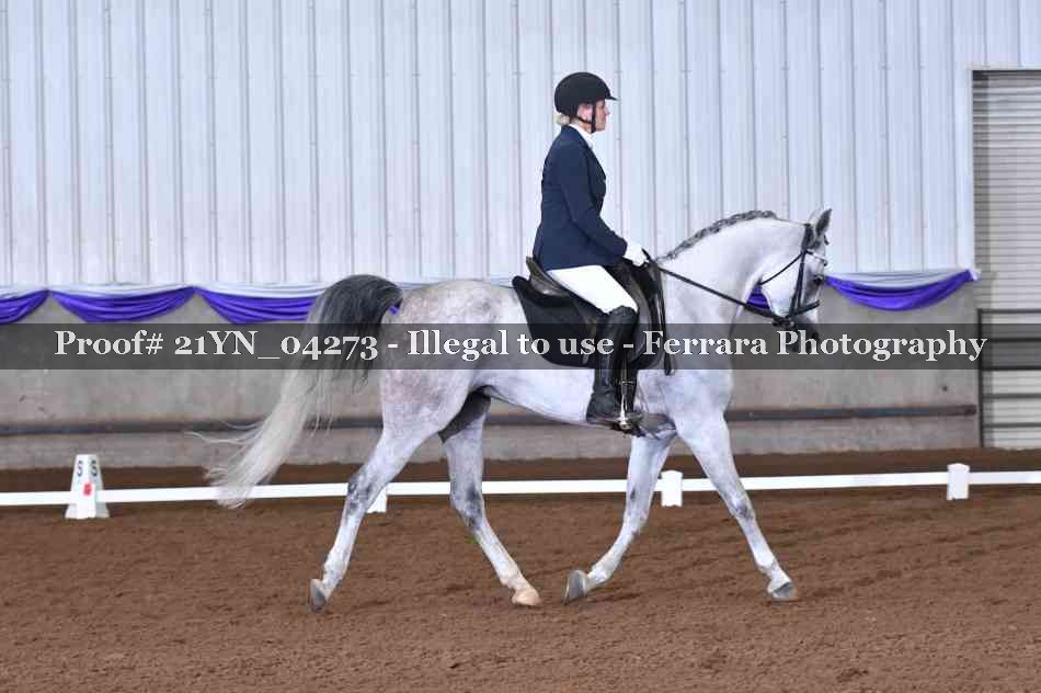 Proof 21YN_04273