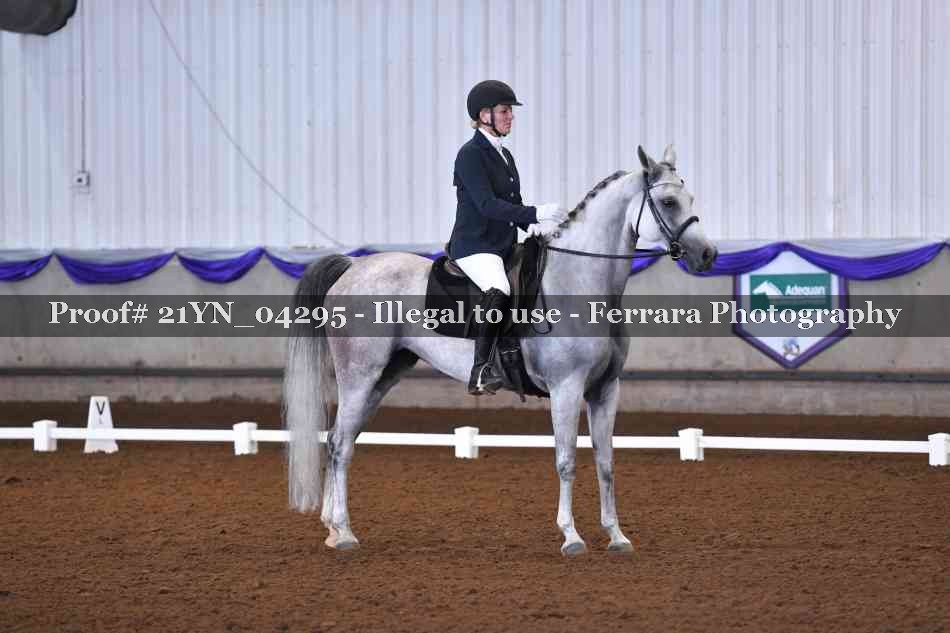 Proof 21YN_04295