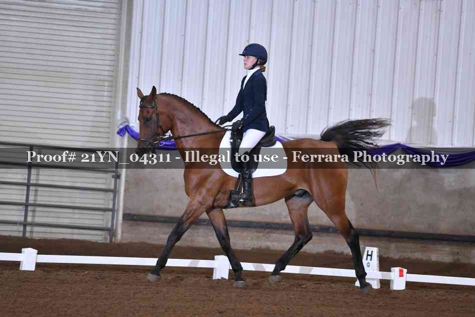 Proof 21YN_04311