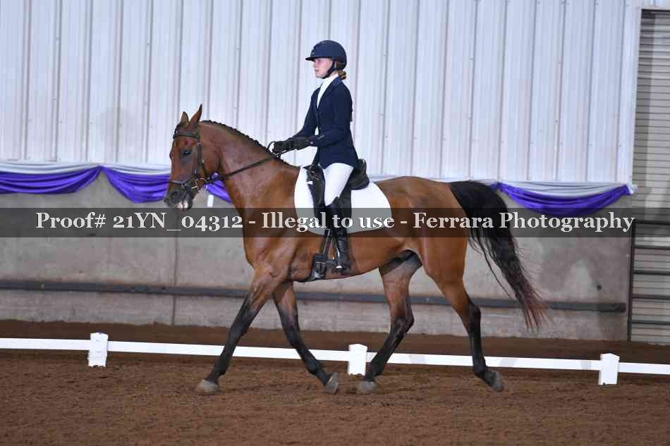 Proof 21YN_04312