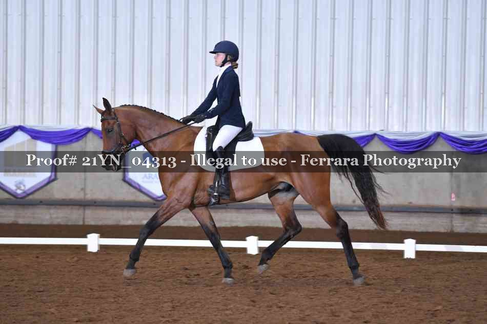 Proof 21YN_04313