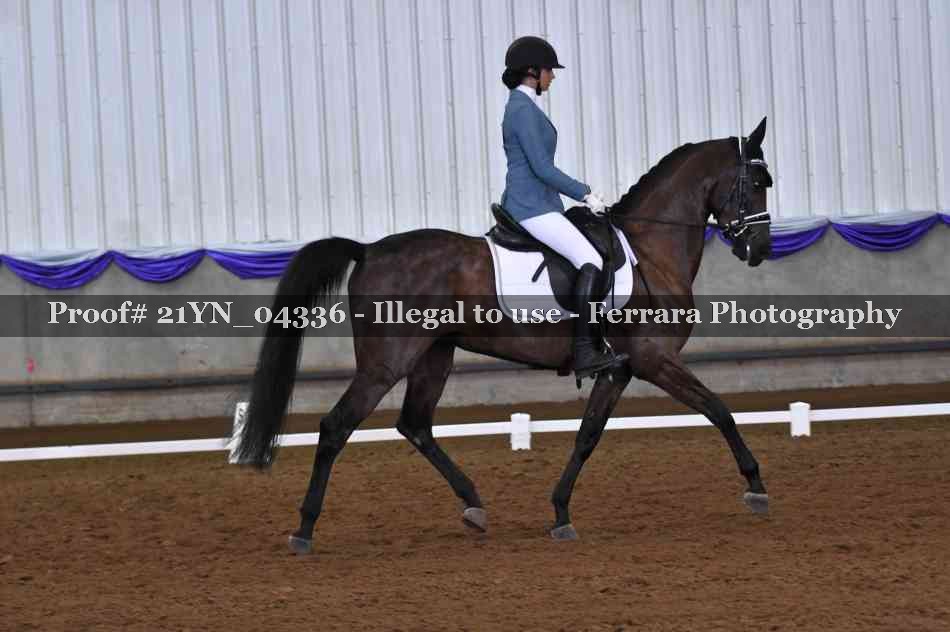 Proof 21YN_04336