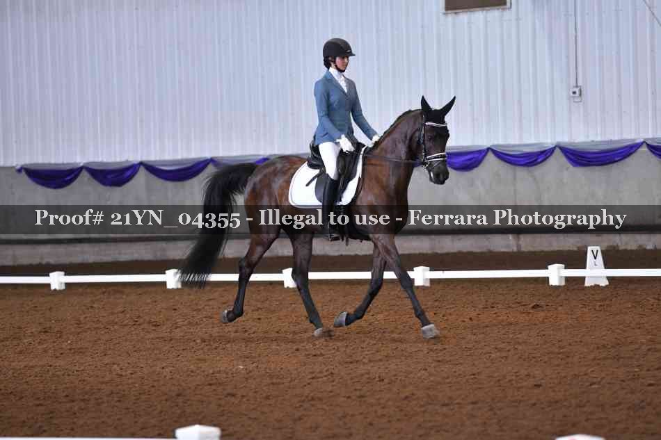 Proof 21YN_04355