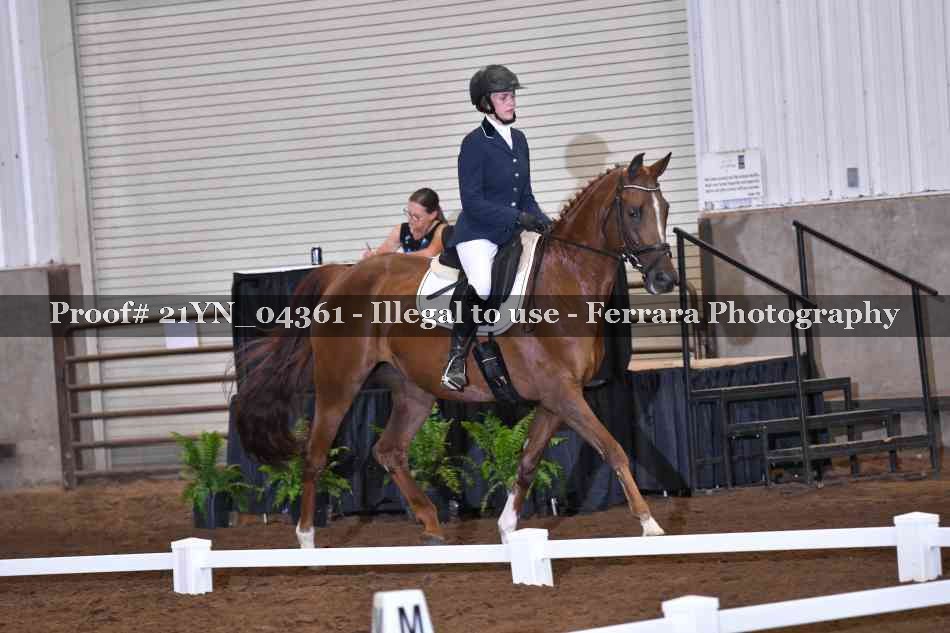Proof 21YN_04361