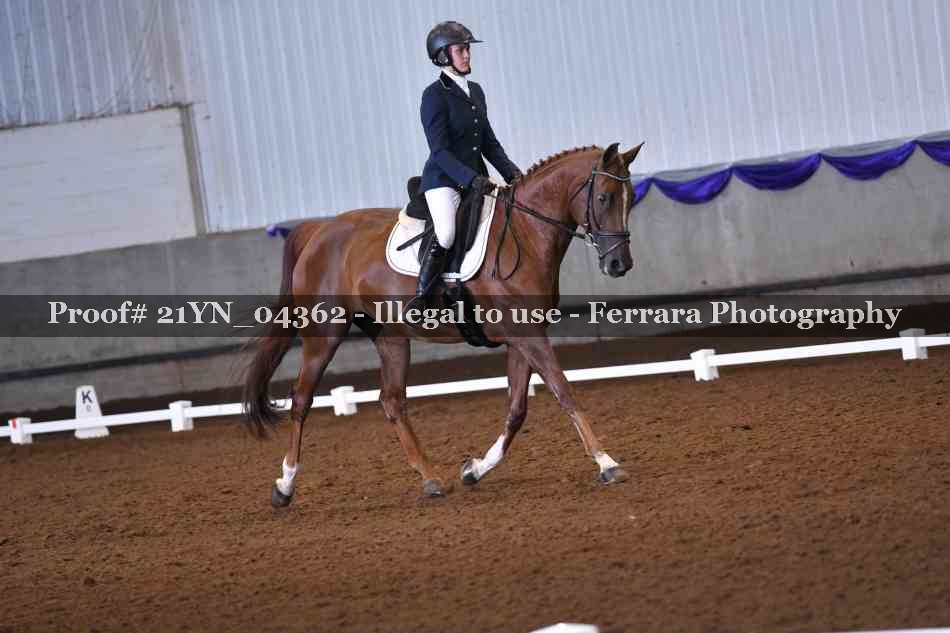 Proof 21YN_04362