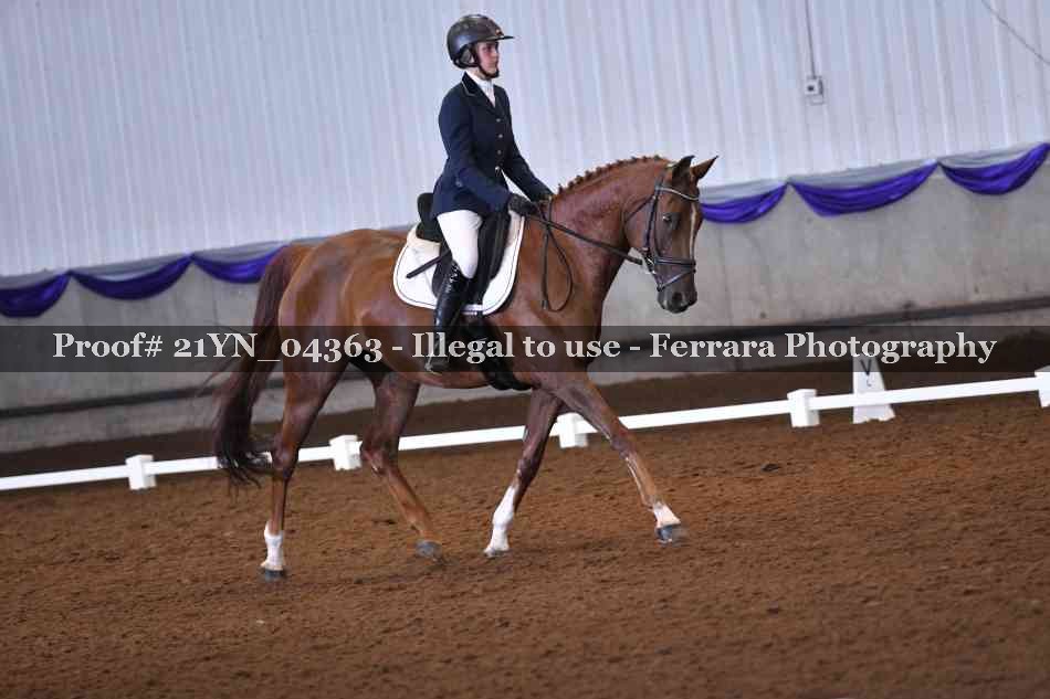 Proof 21YN_04363