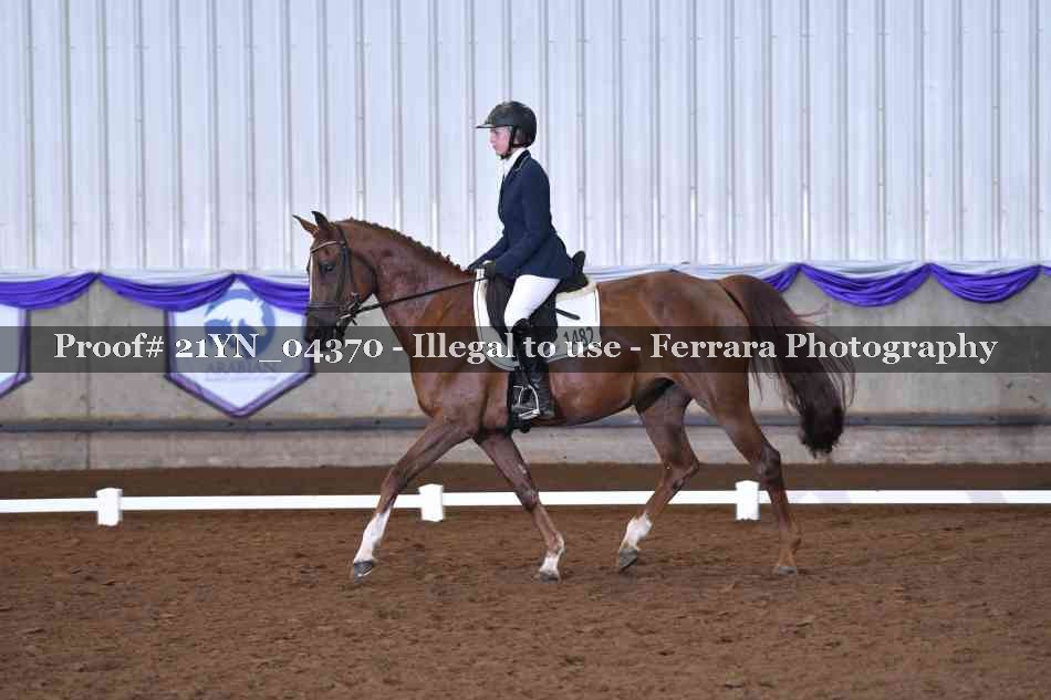 Proof 21YN_04370