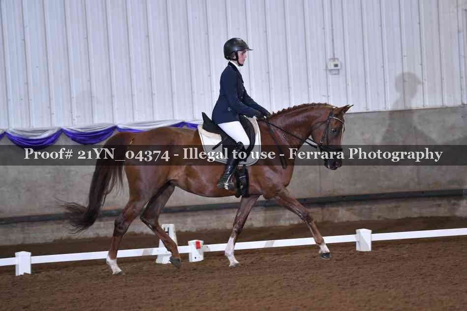 Proof 21YN_04374