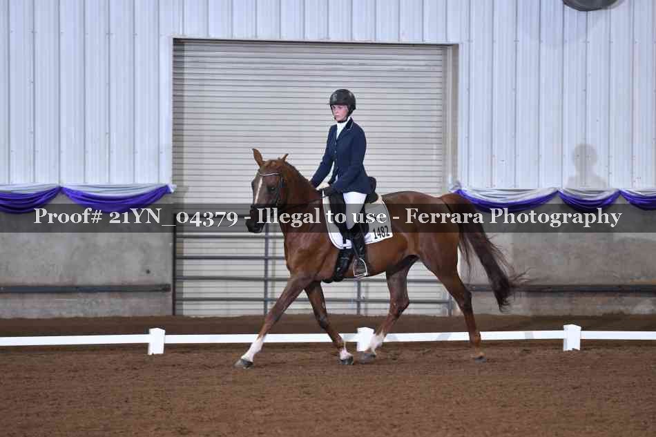 Proof 21YN_04379