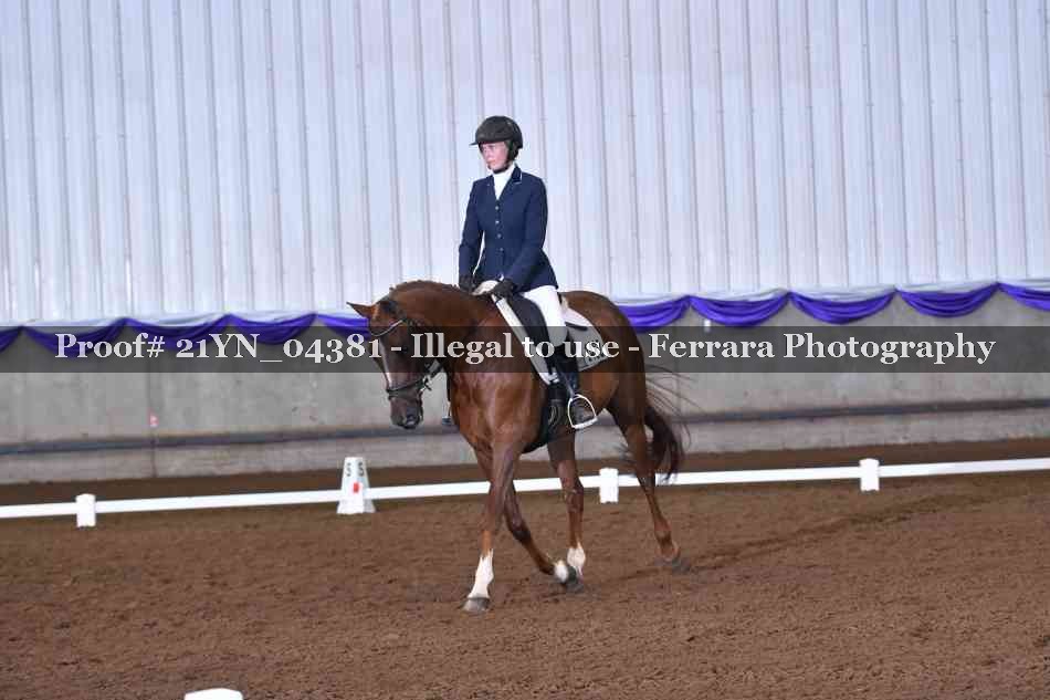 Proof 21YN_04381