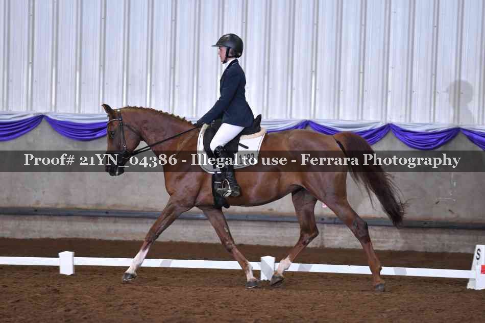 Proof 21YN_04386