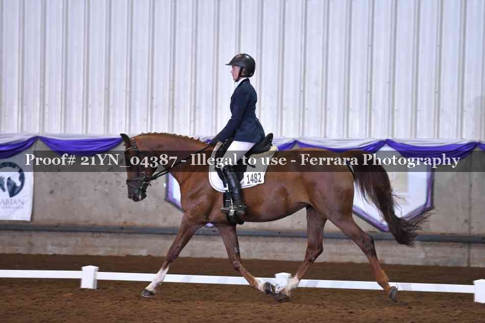 Proof 21YN_04387