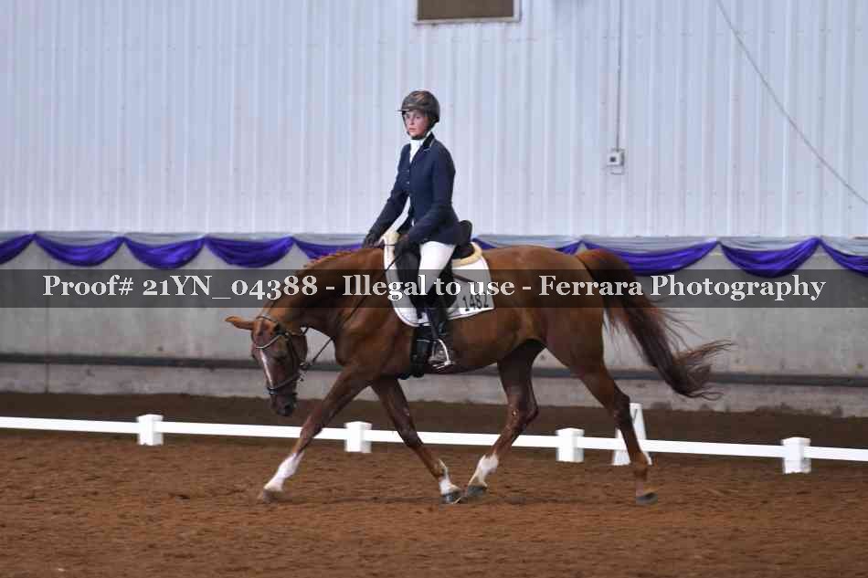 Proof 21YN_04388