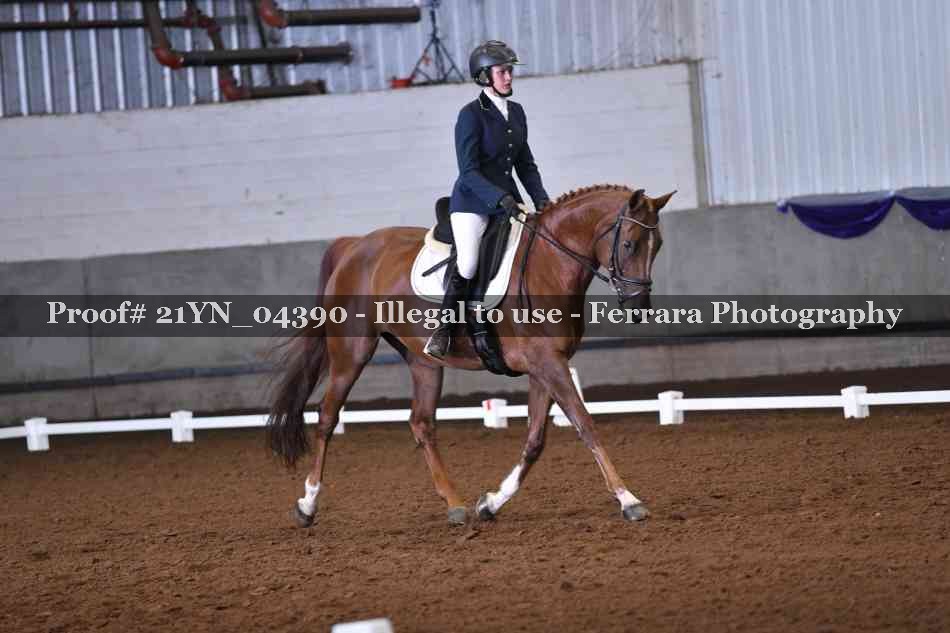 Proof 21YN_04390