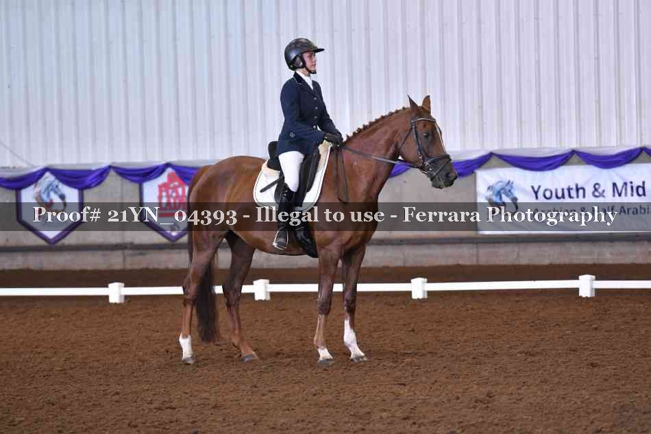 Proof 21YN_04393