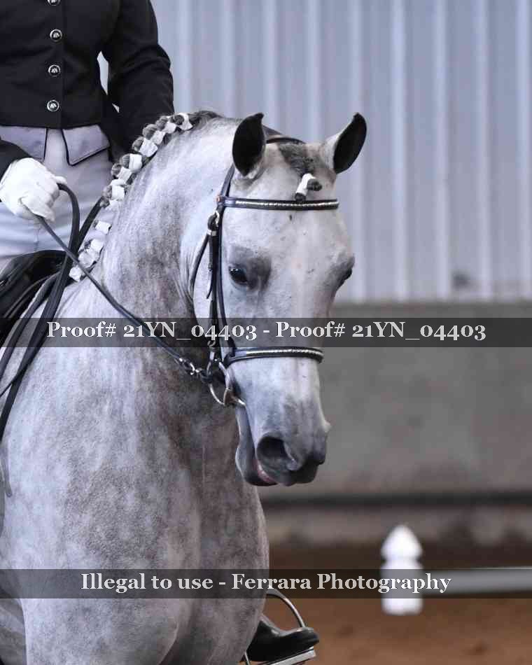 Proof 21YN_04403