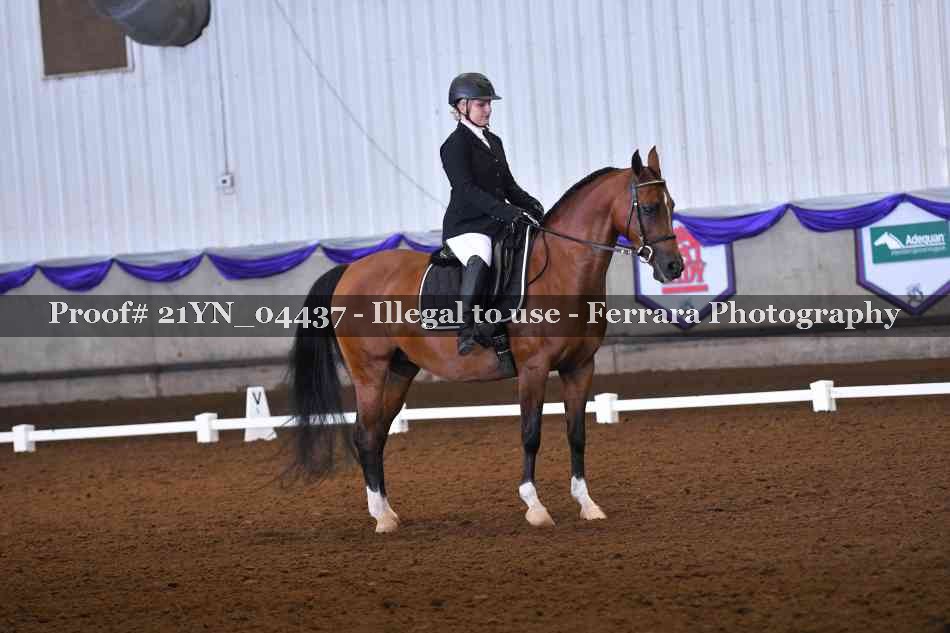 Proof 21YN_04437