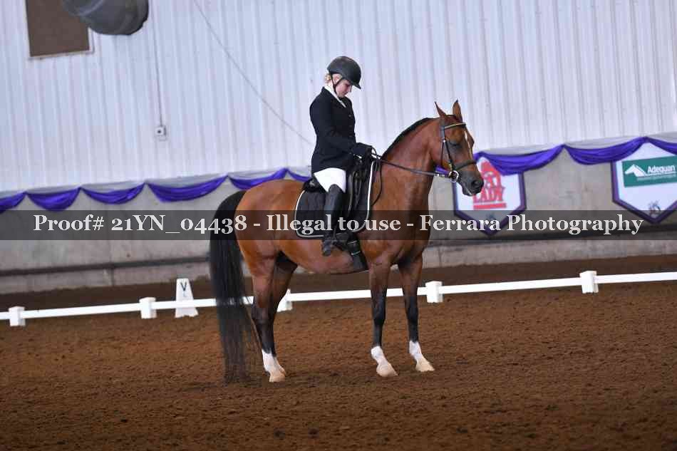 Proof 21YN_04438