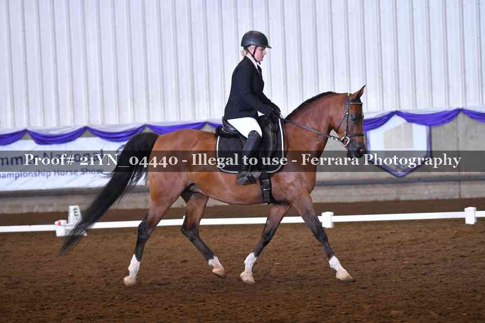 Proof 21YN_04440