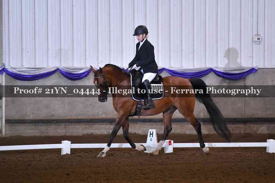 Proof 21YN_04444