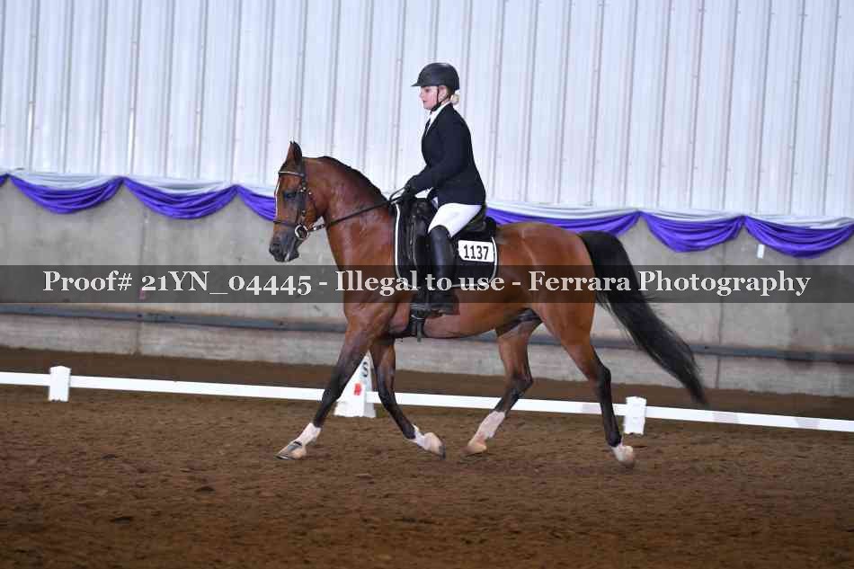 Proof 21YN_04445