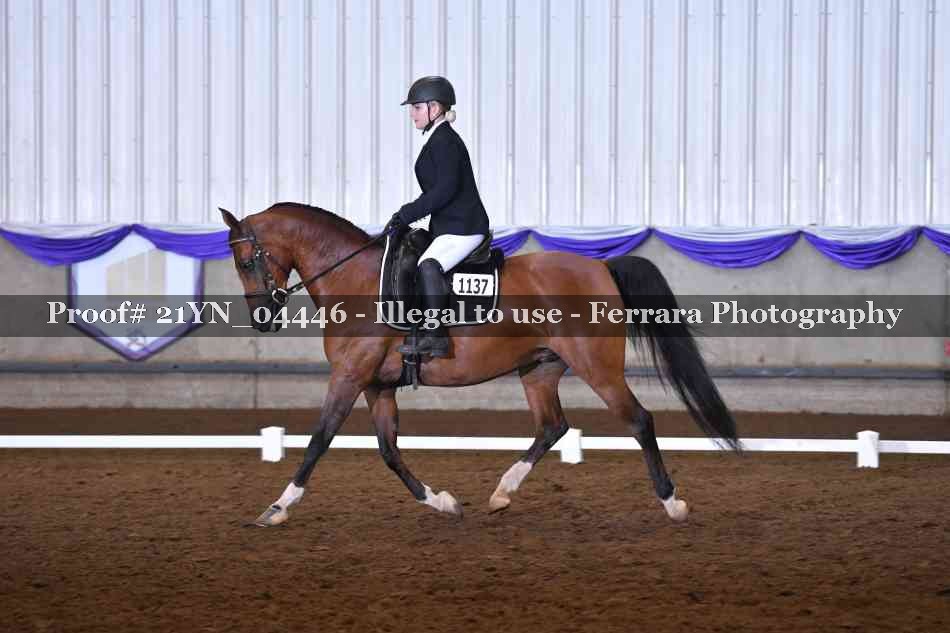 Proof 21YN_04446