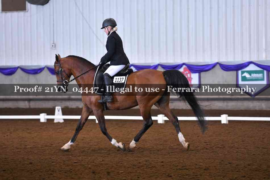 Proof 21YN_04447