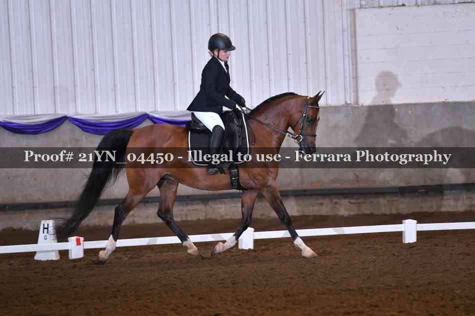 Proof 21YN_04450