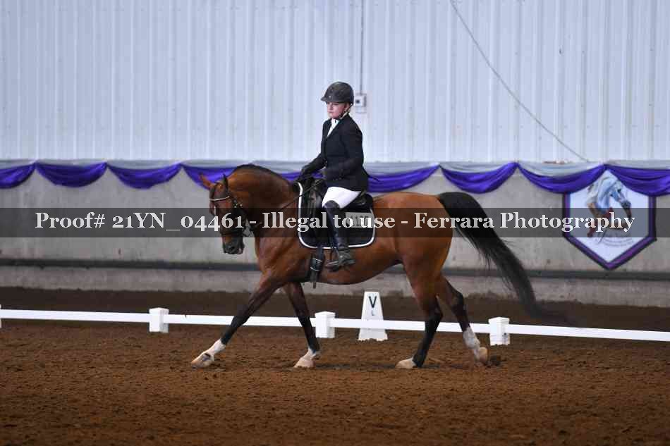 Proof 21YN_04461