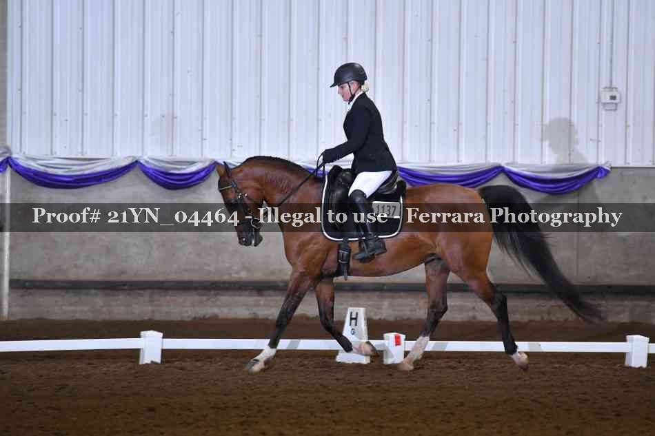 Proof 21YN_04464