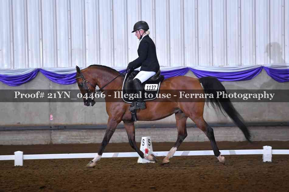 Proof 21YN_04466