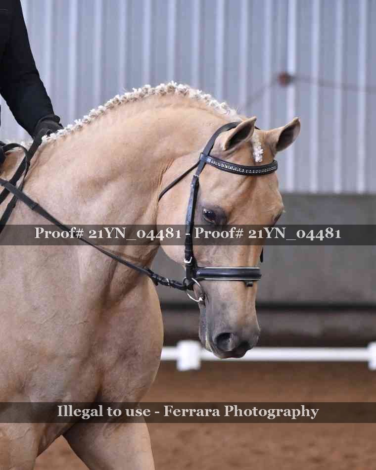 Proof 21YN_04481
