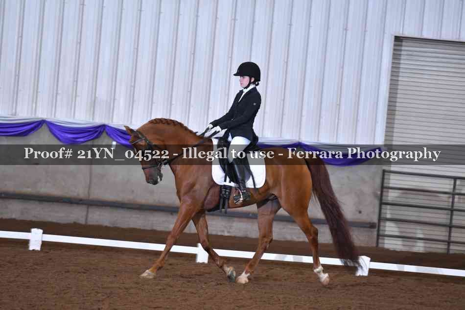 Proof 21YN_04522