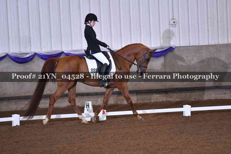Proof 21YN_04528