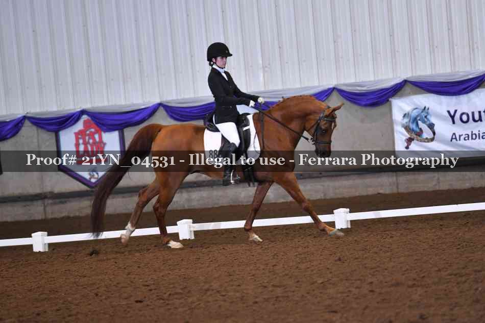 Proof 21YN_04531