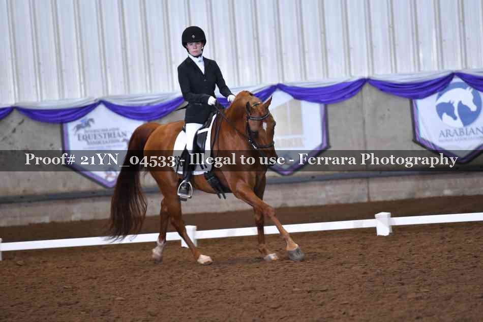 Proof 21YN_04533