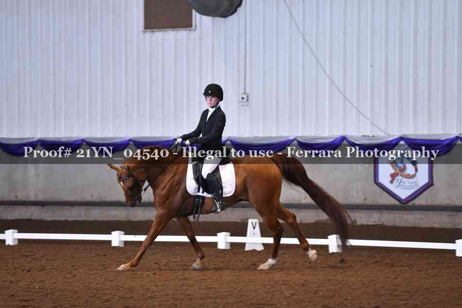 Proof 21YN_04540
